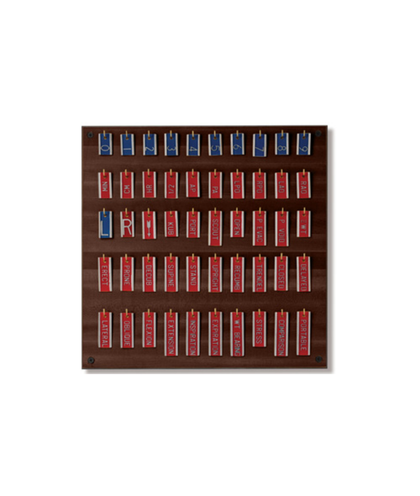 Embedded Marker Sets