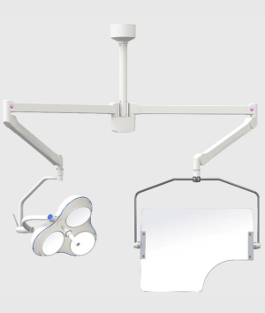 Ceiling Mounted Shield and Lamp 351