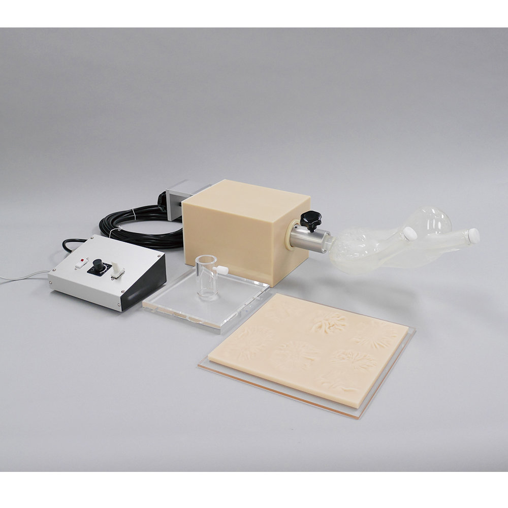 Rotation Stomach Phantom TMP-R (PH-19)