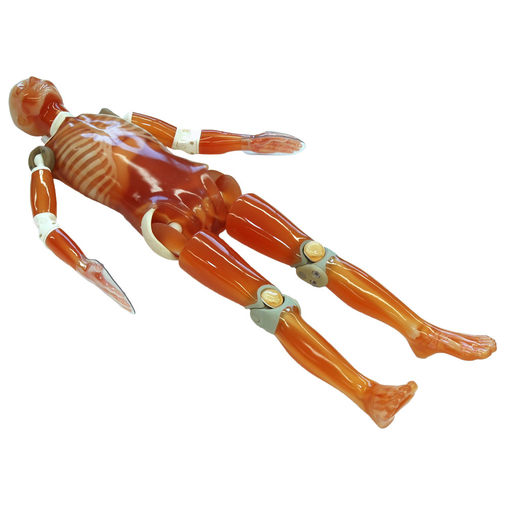 CT Whole Body Phantom "PBU-60" (PH-2B)