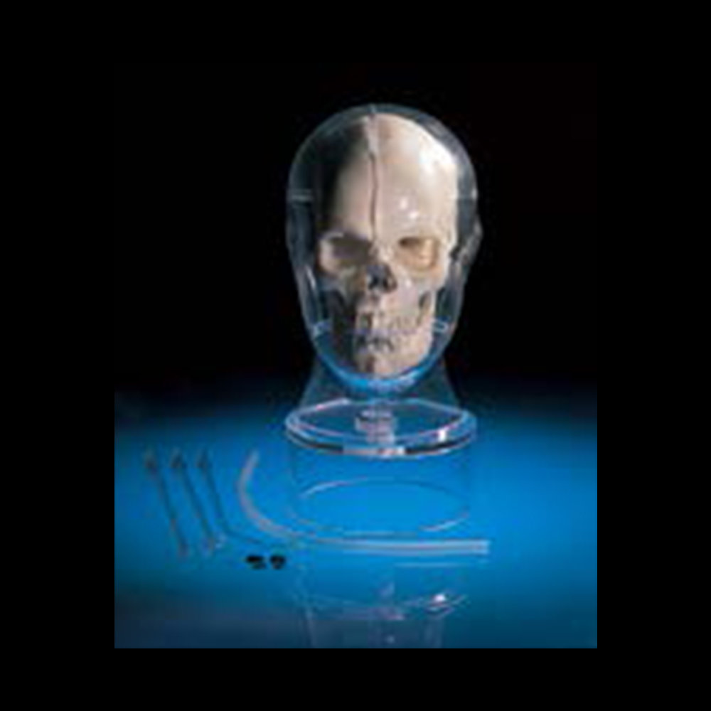 MRI/NM Head Phantom BHC (PH-34)