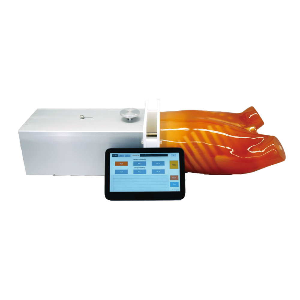 Dynamic Thorax Phantom (PH-39)