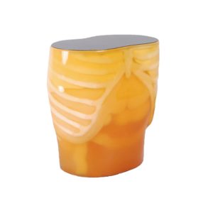 CT Abdomen Phantom (PH-5)