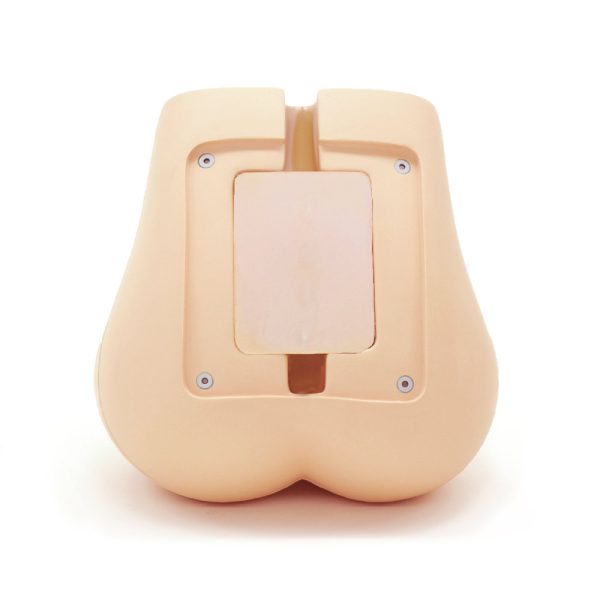 Lumbar Spine Fluoroscopy Training Phantom (PH-51)