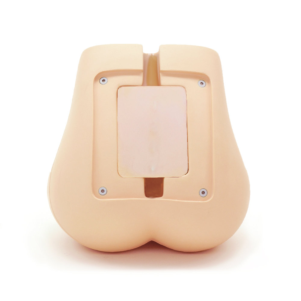 Lumbar Spine Fluoroscopy Training Phantom (PH-51)