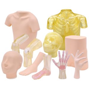 Sectional Phantom Series (PH-61)