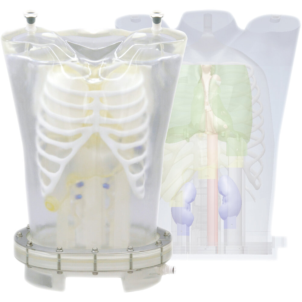 PET/SPECT Thorax Phantom (PH-63)