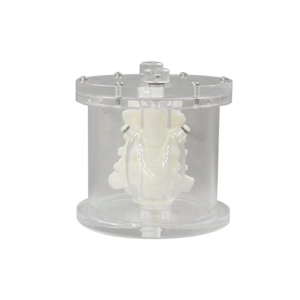 PET/SPECT Thyroid Phantom UN (PH-69)