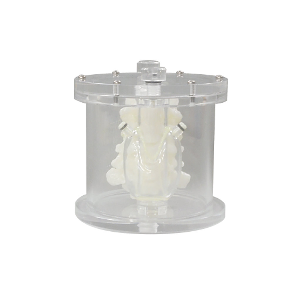 PET/SPECT Thyroid Phantom UN (PH-69)