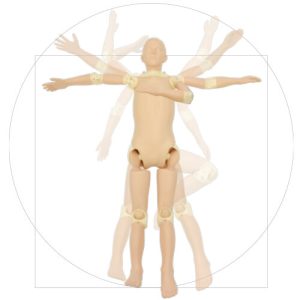 X-Ray Training Phantom PBU-POSE (PH-79)