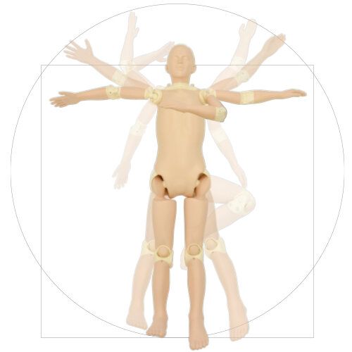 X-Ray Training Phantom PBU-POSE (PH-79)