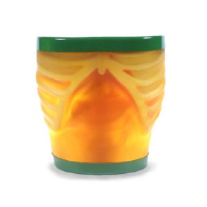 Ultrasound Examination Training Phantom "ECHOZY" (US-1)