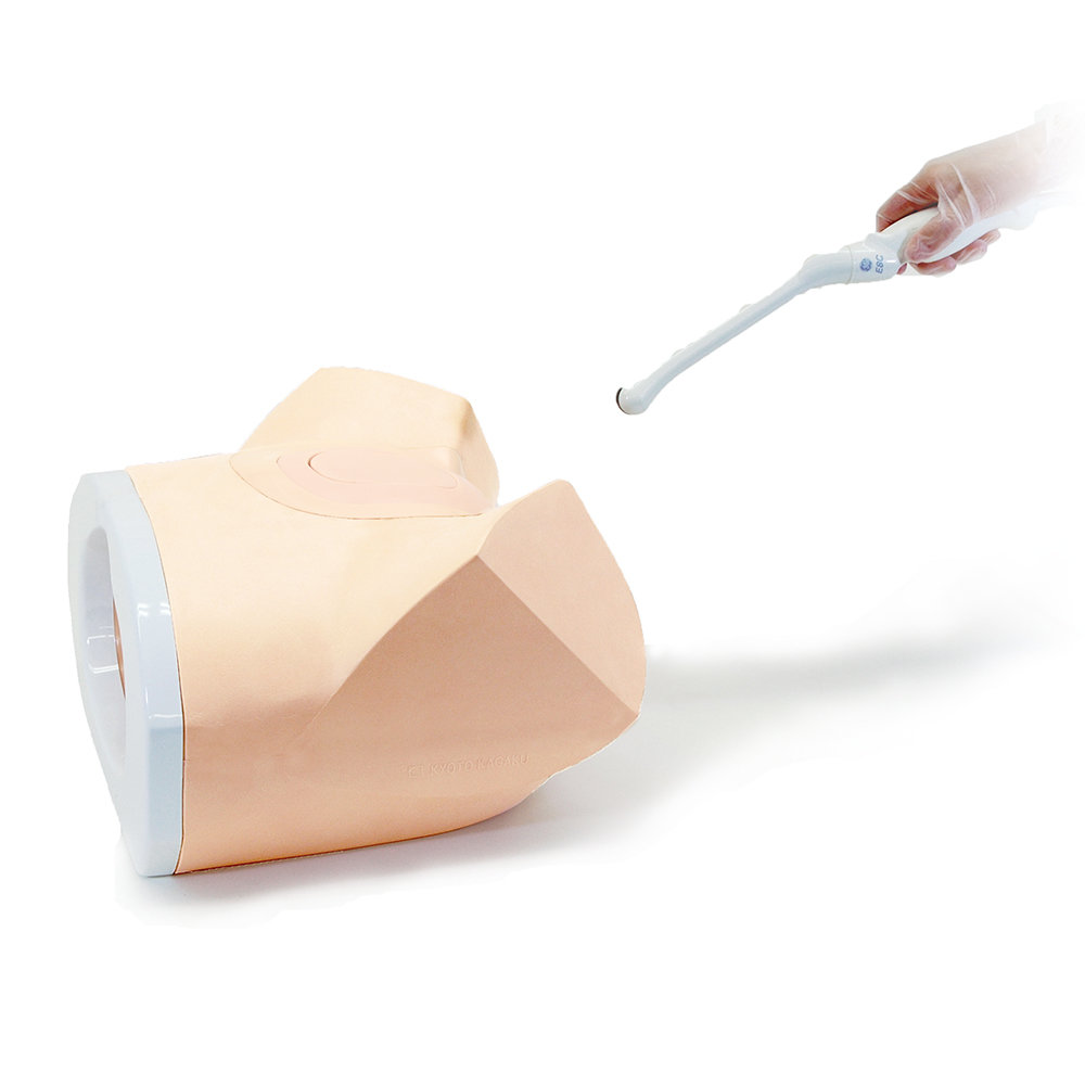 Female Pelvic Ultrasound Phantom (2 units) (US-10)