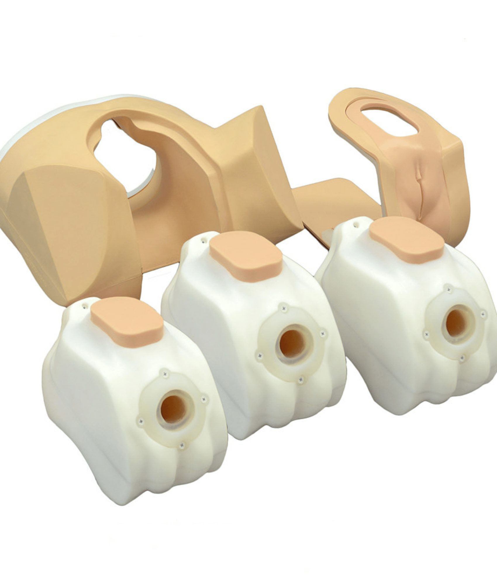 Female Pelvic Ultrasound Phantom (3 units/10W) (US-10C) - Image 3
