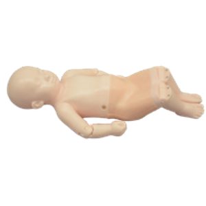 Infant Hip Sonography Training Phantom (US-13)