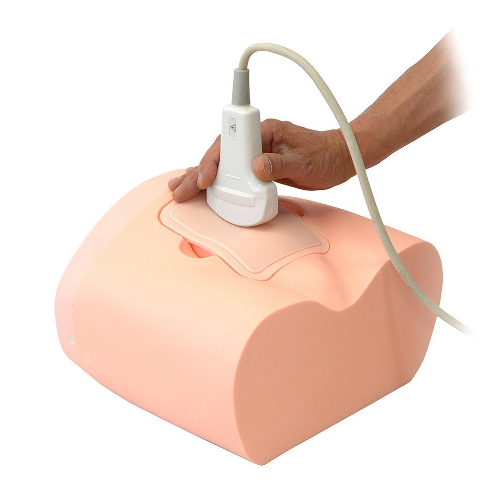Intravesical urine volume measurement training simulator (US-16)