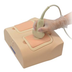 Lung Ultrasound Training Phantom (US-19)