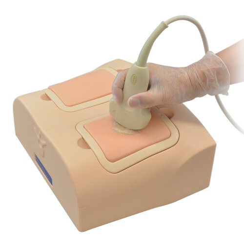 Lung Ultrasound Training Phantom (US-19)