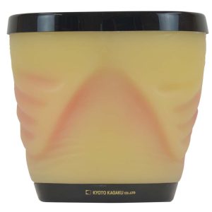 Dual Modality Human Abdomen phantom (US-22)