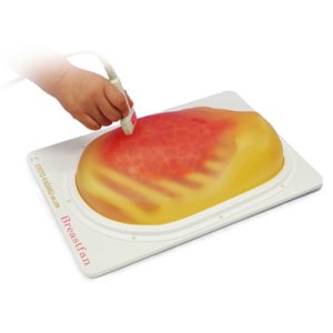 Breast Ultrasound Examination Phantom 