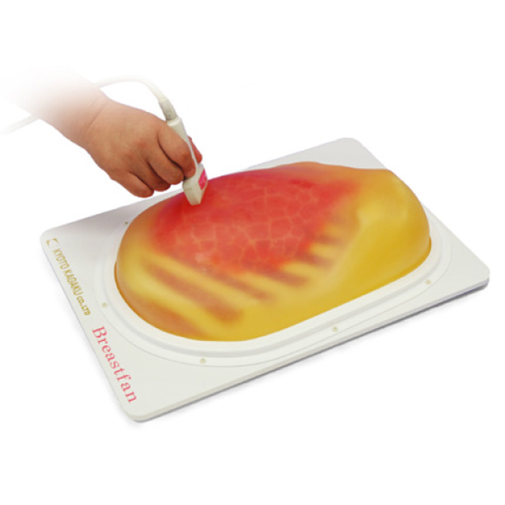 Breast Ultrasound Examination Phantom "BREAST FAN" (US-6)