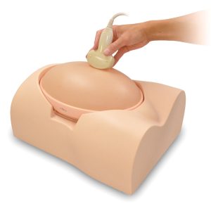 Fetus Ultrasound Examination Phantom "SPACE FAN-ST" (US-7A)