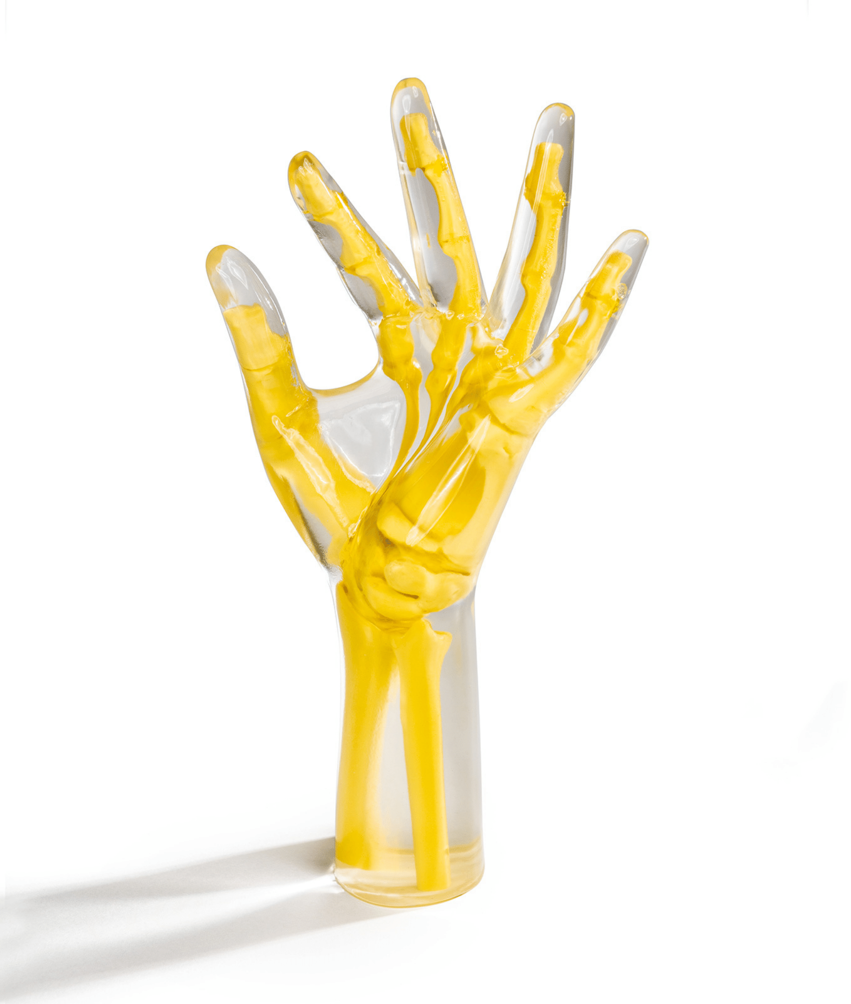 Hand & Wrist Phantom