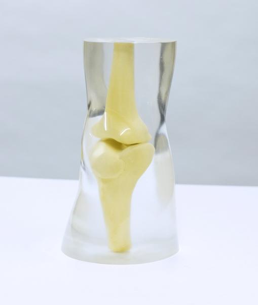 Knee Phantom
