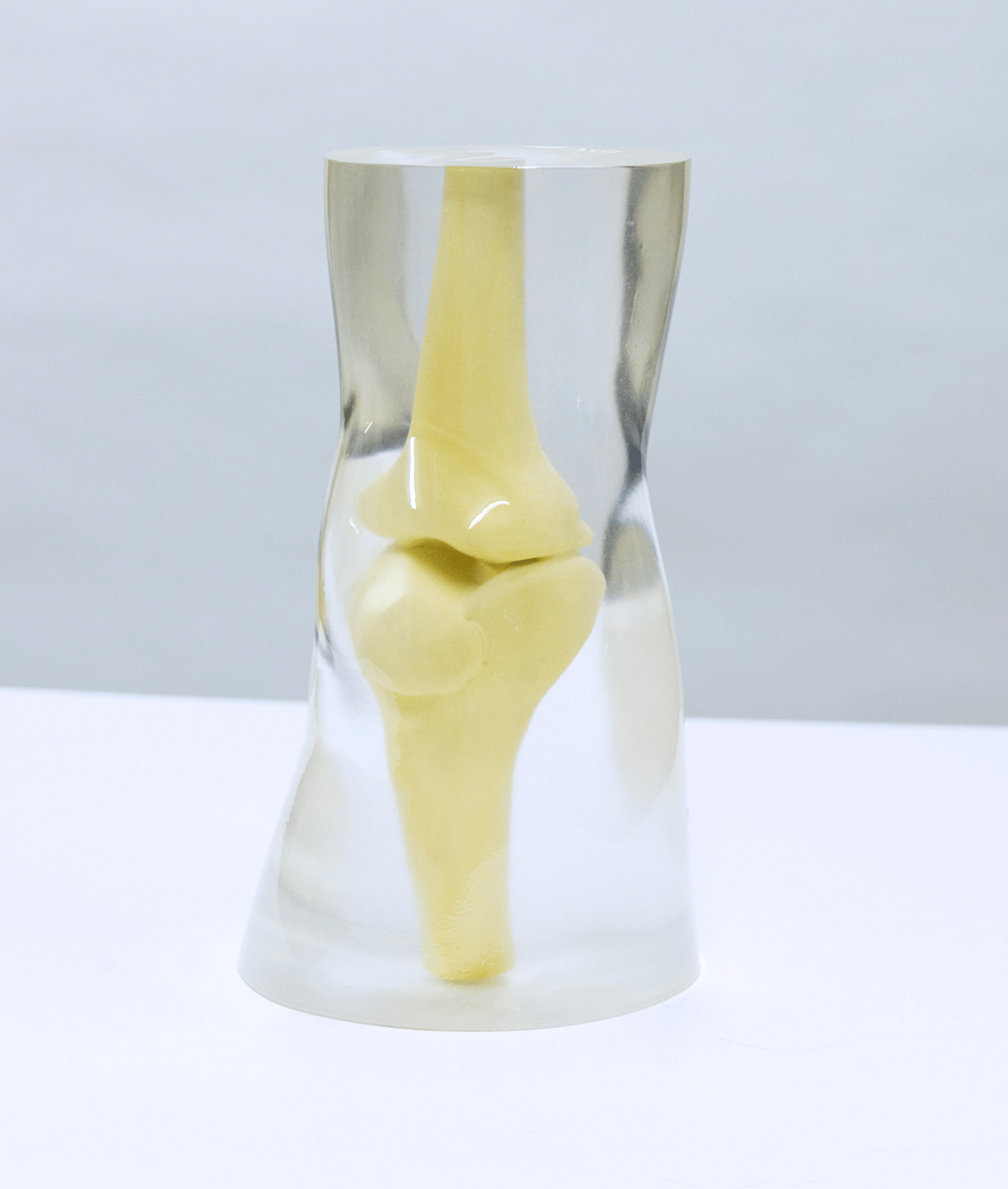 Knee Phantom