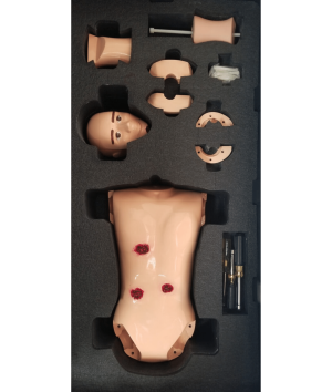 Wounded Willy & Damaged Debbie Pathologies & Traumas