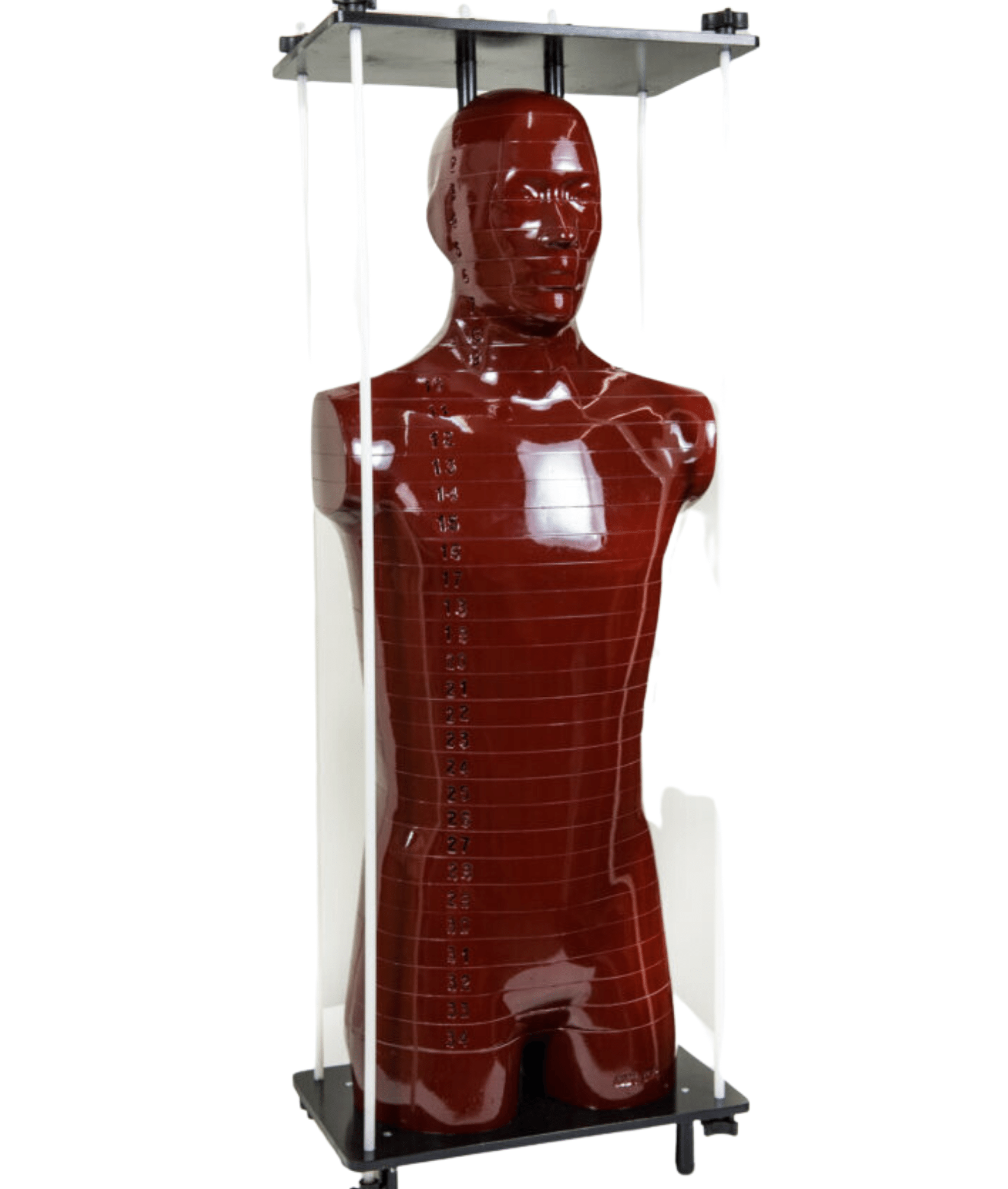ART Phantom (Alderson Radiation Therapy)