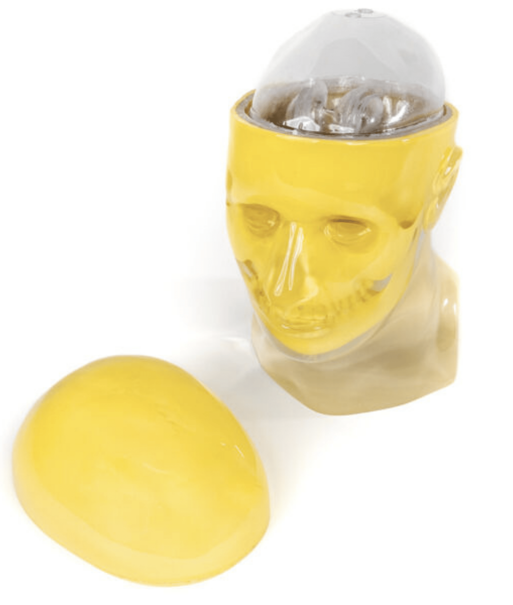 Striatal Phantom - Image 4