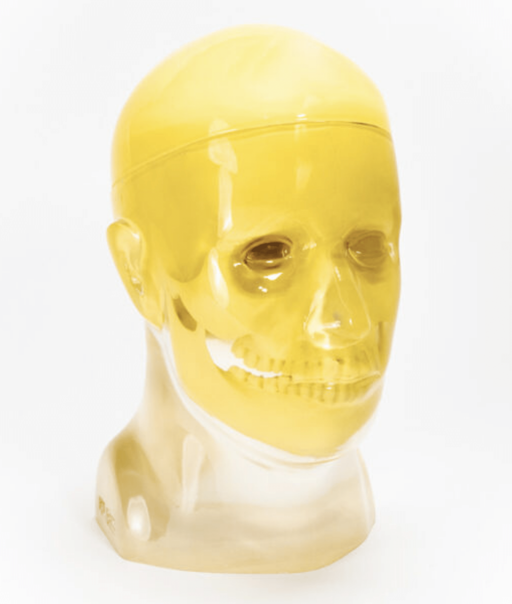 Striatal Phantom - Image 3