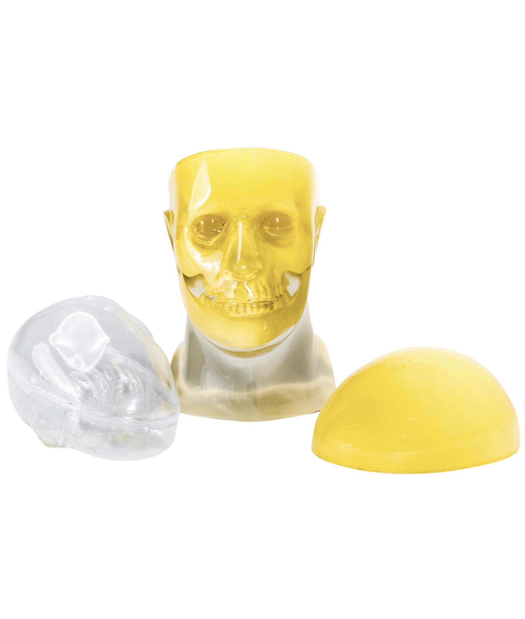 Striatal Phantom