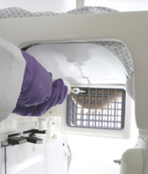 Sentinelle Vanguard Coil