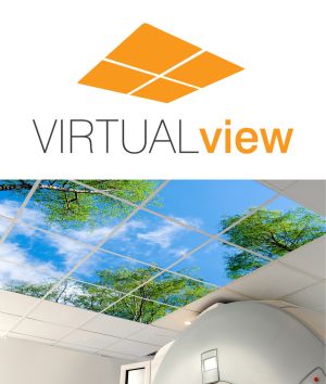 Virtual View