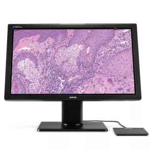 Digital Pathology
