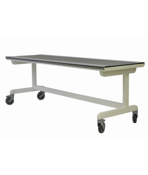 Clear Top Mobile Table
