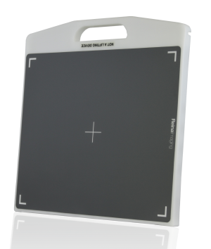 Mobile DR Panel Holder