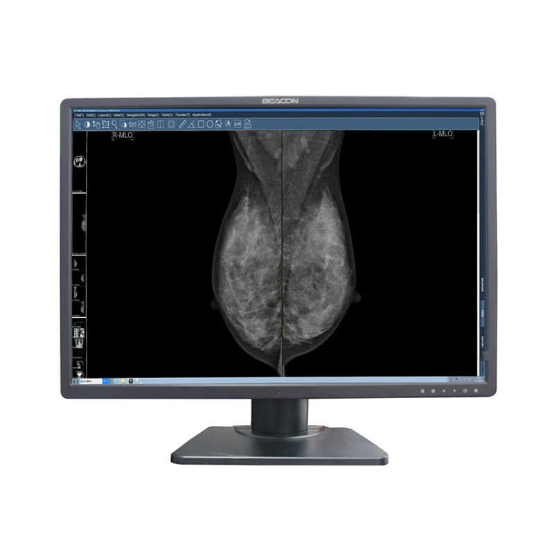 Beacon 31" 12MP (C1216W)