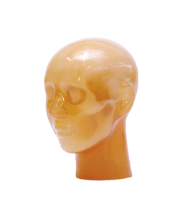 CT Stroke Head