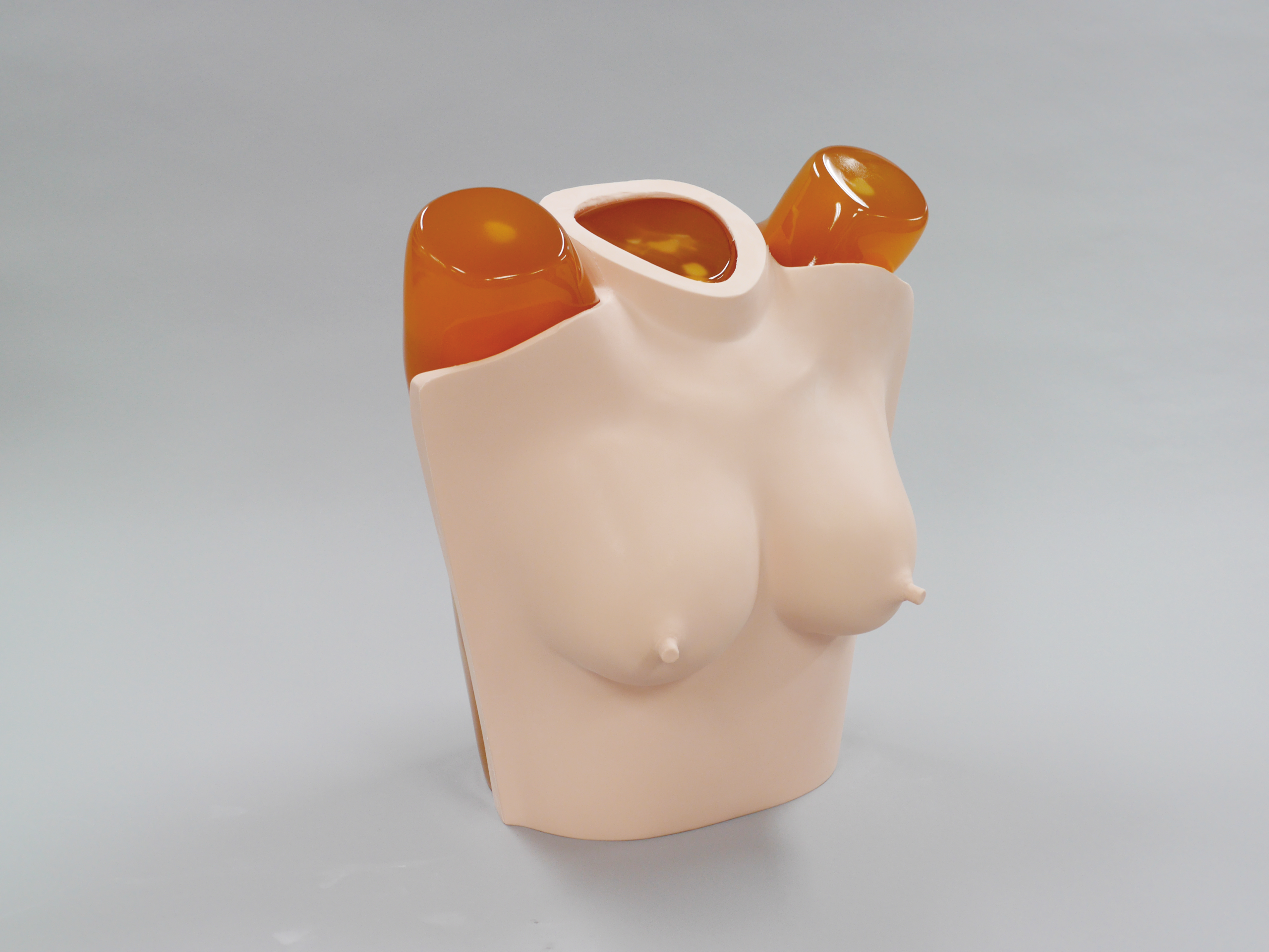 Breast Plate for Chest Phantom N-1