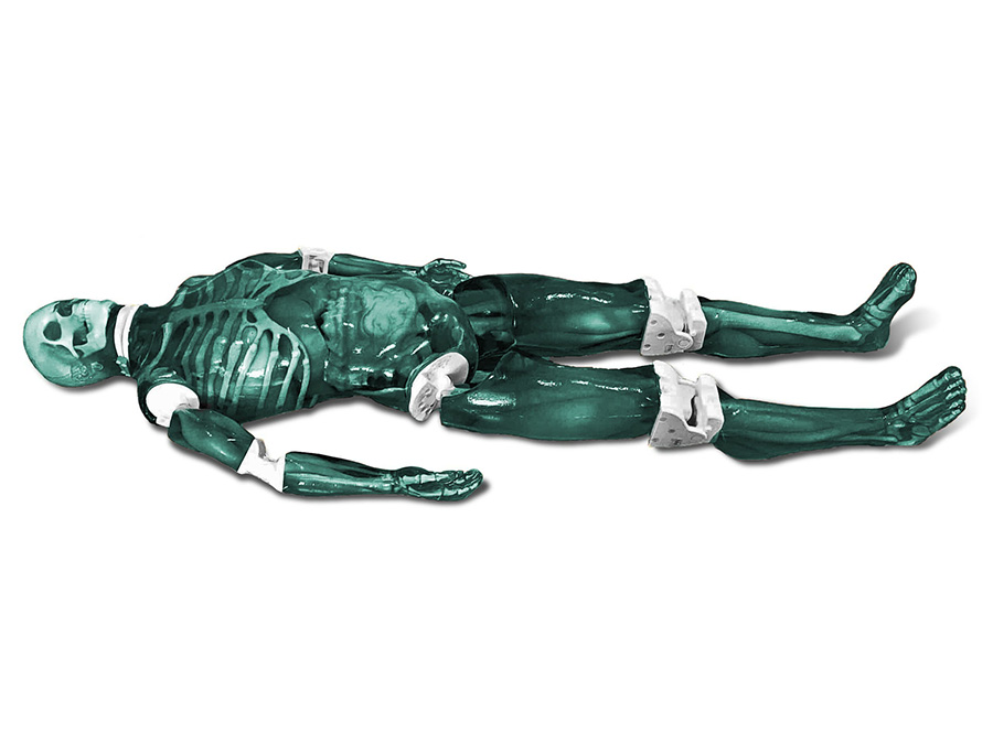 Adult Full Body Imaging Phantom