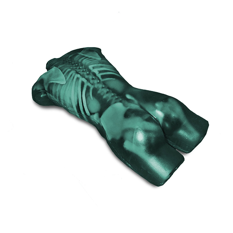 Adult Torso Imaging Phantom