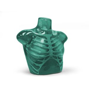 Adult Chest Imaging Phantom