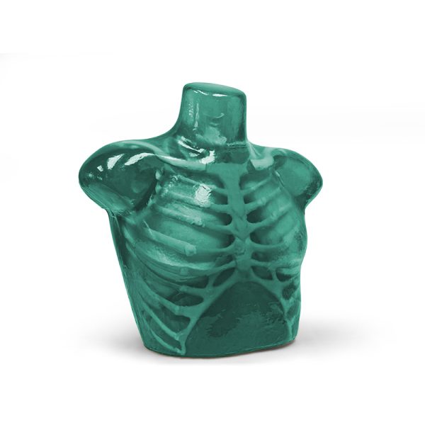 Adult Chest Imaging Phantom