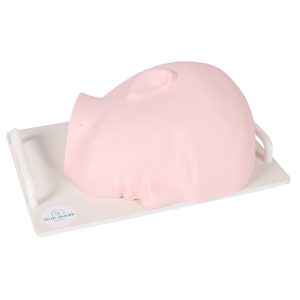 Training Face - SonoEZ Ultrasound Trainer