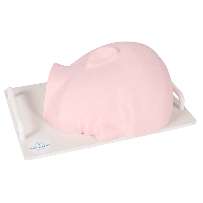 Training Face - SonoEZ Ultrasound Trainer