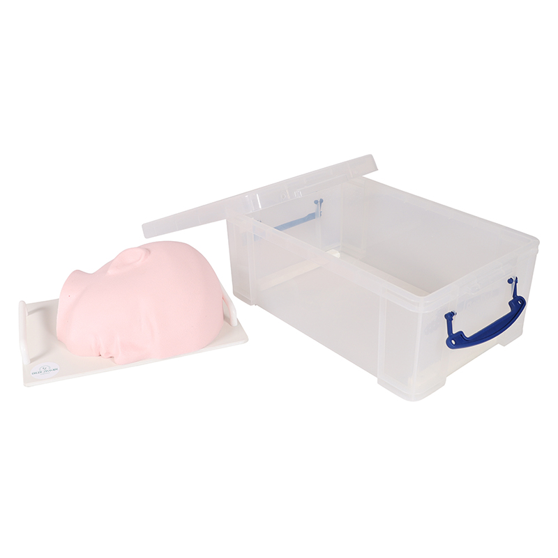 Training Face - SonoEZ Ultrasound Trainer - Image 3