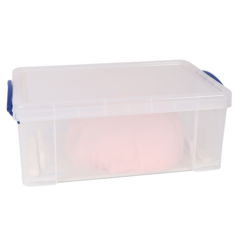 Training Face - SonoEZ Ultrasound Trainer - Image 4